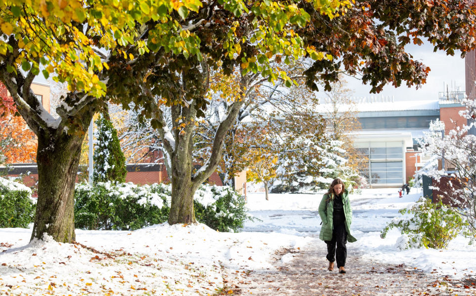 ͯŮ campus in the snow