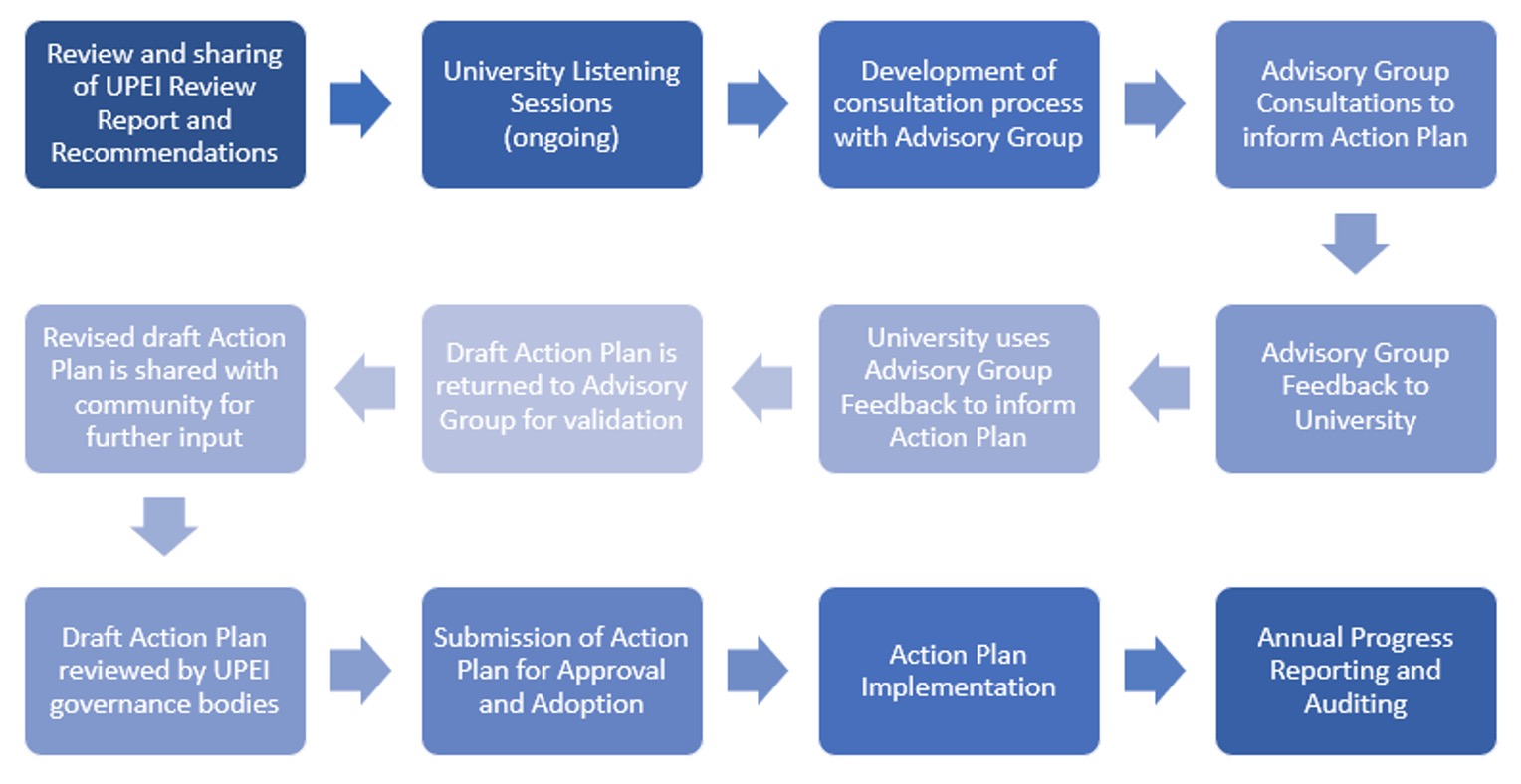 infographic for action plan process
